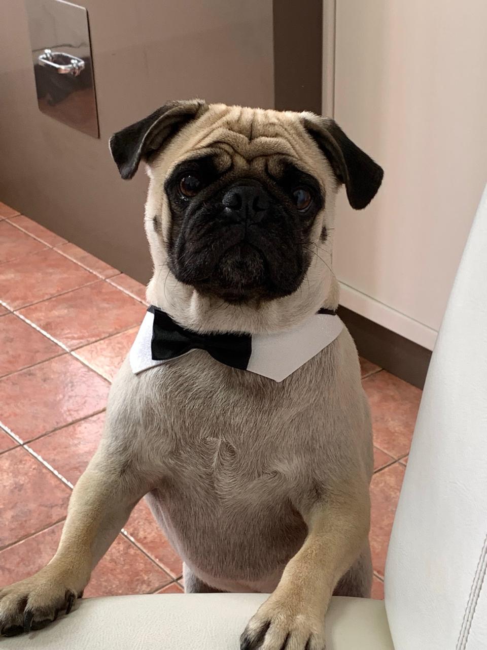 Foto de Lineu Silva - Lineuzinho